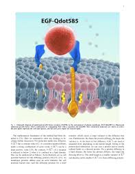 An article review format allows scholars or students to analyze and evaluate the work of other experts in a given field. Ieee Engineering Management Review Template For Authors
