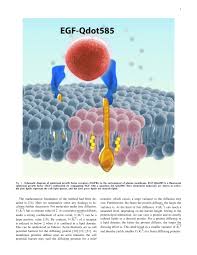 Project planning, software project enactment, review. Ieee Engineering Management Review Template For Authors