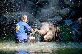 .fun phuket, provide us considerable entertainment, phuket fantasia, the larruping beautiful here we easily find the kids fun, kid's favorably hotels, phuket fantasia midst near family activities. 37 Fun Things To Do In Phuket Cool And Unusual Activities Tourscanner
