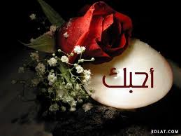 رومانسيه كلمة أحبك 13572164286 Jpg Christmas Bulbs Beautiful Love Quotes Photo Quotes