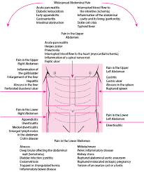 It may be difficult to identify the difference between back pain and pain caused by an internal organ. Acute Abdominal Pain Digestive Disorders Merck Manuals Consumer Version