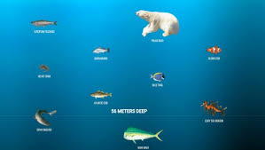 What animals lives at the bottom of the mariana trench? Interactive Deep Sea Visualization Is 36 000 Feet Of Fun Nerdist