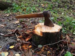 Herbicides can kill trees and, properly applied, be safe for the environment. How To Remove Tree Stumps Letsfixit