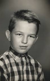 Obituary for Harris Lee Willard