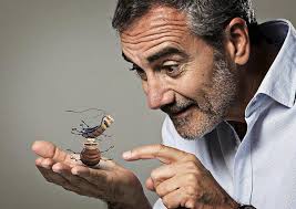 Al ser humano le define la chapuza'