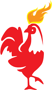Hasil Gambar Untuk Ayam Vektor Ayam Gambar Animasi
