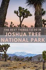 The Best Things To Do In Joshua Tree National Park National Parks California Travel Joshua Tree National Park