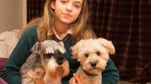 Thea the 10 year old thoroughbred horse