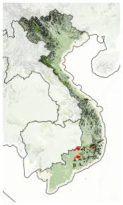 Tỉnh đồng nai nằm trong vùng kinh tế trọng điểm phía nam, có diện tích tự nhiên là 5.907,2 km². Map Of Vietnam With Marked Of Dong Nai Biosphere Reserve A Dong Nai Download Scientific Diagram