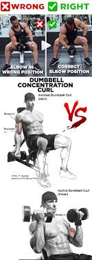 Pin On Biceps Triceps