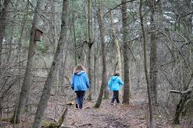 Profile for Stephanie Etherington Photography