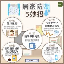冬天家裡沒陽光 溼氣重 5秘訣不讓屋裡發霉 生活智慧王 養生 元氣網 health story peanuts comics