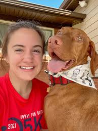 Anyone else's Dobie have a set up like this? 🤣🤣 with a hand painted  portrait of themselves