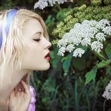 rebekah holmes (bekiholmes1234)