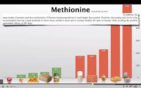 Methionine Restriction Reduce Cancer Olive Retreat Blog