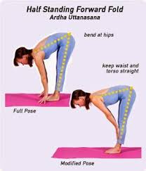 How Do You Cue Ardha Uttanasana Restorative Yoga Yoga Poses For Beginners Forward Fold