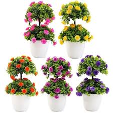 We did not find results for: Pokok Bonsai Double Layer Bunga Hiasan Meja Kopi Shopee Malaysia