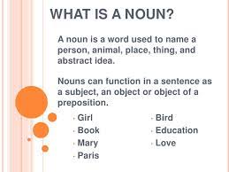 Nouns can be categorized into three basic groups: Nouns Pronouns And Adjectives