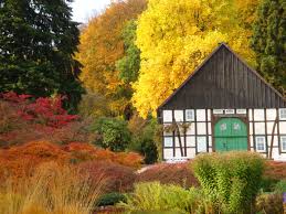 Der botanische garten bielefeld befindet sich am südhang des zum teutoburger wald gehörigen kahlenberg im südwesten der ostwestfälischen stadt bielefeld. Impressionen Verein Freunde Des Botanischen Gartens Bielefeld E V