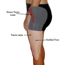 Pin On Anatomy
