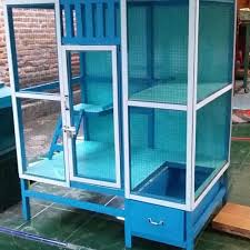 Harga kucing persia termasuk kucing yang sering dicari oleh para pecinta kucing di dunia termasuk di indonesia. Jual Kandang Kucing Dari Kayu Mahoni Murah Kucing Persia Iguana Bisa Custom Kota Surabaya Fhb House Tokopedia