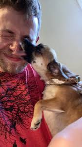 UPDATE: BELLA HAS BEEN FOUND! Thank you for the support and shares everyone.