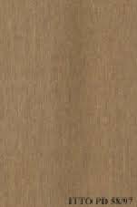 Image result for Strombosia