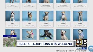 While there are many sources offering pets private for adoption throughout the usa and canada, one of the best ways to find the pet of your dreams is through our private pet rehoming service, where we showcase pets for adoption by owner. Empty The Shelters Free Pet Adoptions Friday And Saturday