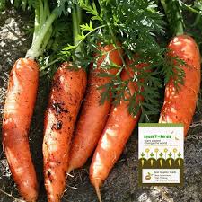 But sometimes the best new vegetable seeds for your garden are something completely different. Buy Vegetable Seed For Home Garden Online Lowest Pirce All India Delivery Greens Of Kerala