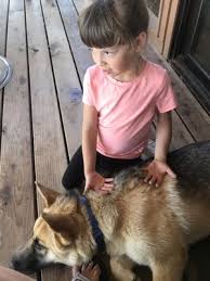 Maybe you would like to learn more about one of these? Merced County Animal Control 66 Photos 32 Reviews Animal Shelters 2150 Shuttle Dr Atwater Ca United States Phone Number