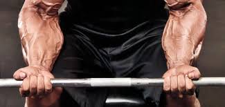 If you're at least a moderately experienced fitness buff, consider grabbing a pair of. How Can I Get Veins In My Arms