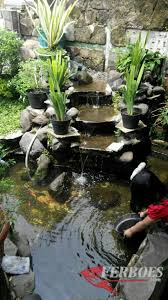 Relief tebing kolam air terjun kolam relief kolam ikan kolam koi shopee indonesia. Kolam Ikan Air Terjun Mas Koki