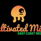 Live music with Cultivated Mind