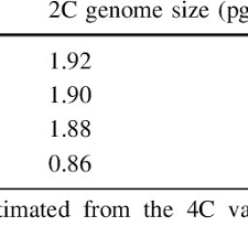 Image result for Strychnos kasengaensis