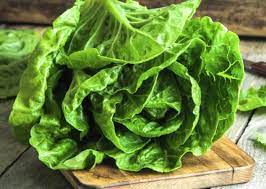 Procuratevi per prima cosa il materiale necessario. Come Conservare L Insalata Piu A Lungo Possibile In Frigo Benessere Alimentazione Sana Prodotti Bio E Rimedi Naturali Soluzionibio It