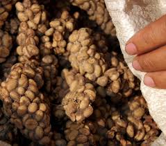 Kopi Luwak Le Cafe Plus Cher Au Monde Buy Coffee Beans Expensive Coffee Gross Food