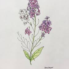Pin On Drawings