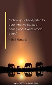 Best Inspirational Quotes Top 85 Inspirational Quotes About Life And Happiness Nobody can make you feel inferior without your permission. —eleanor roosevelt.