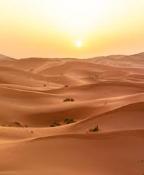 Los tramos de la ruta a arlit e in guezzam no están pavimentados. Hundreds Of African Migrants Rescued From Niger Desert News24