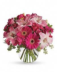 Fresh roses in stock everyday flowers for you is a proud supplier of fresh roses to the mt. A Little Pink Me Up In Mount Vernon Oh Williams Flower Shop