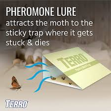All products from black flag pantry pest trap category are. Terro Pantry Moth Traps Bulk 24 Pack Terro Com