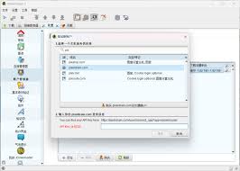 用JDownloader 2 下载iwara.tv 等网站上的视频| Saber 酱的抱枕