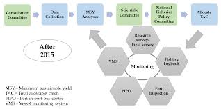 We did not find results for: Sustainability Free Full Text The Transition From Unregulated To Regulated Fishing In Thailand Html