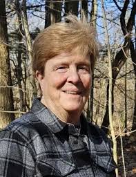 Lisa Jo Howlett Obituary (2024)