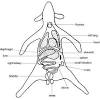 Maybe you would like to learn more about one of these? 3