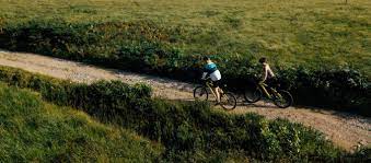 Maybe you would like to learn more about one of these? Best Mountain Bikes Under 500 We Love Cycling Magazine