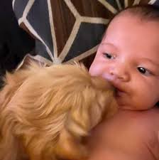 Match Made in Heaven Animal Rescue