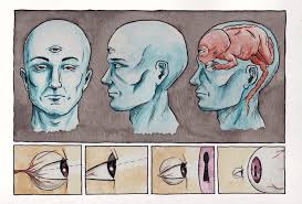 Vivisectionary17 Art Reference Serial Art Art