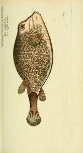 Pin On Go Fishing