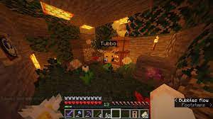 Includes a beekeeper with elytra wings, villager, baby sheep, 4 friendly bees and 4 angry bees. Underground Bee Enclosure Minecraft Amino